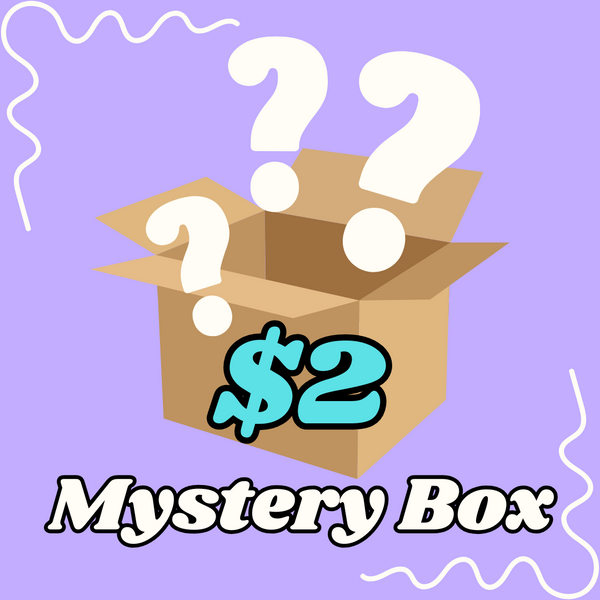 Arlo & Theo's $2 Mystery Boxes!