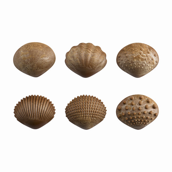 Tactile Shells - Eco