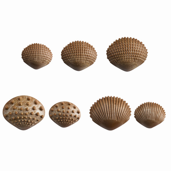 Tactile Shells - Eco