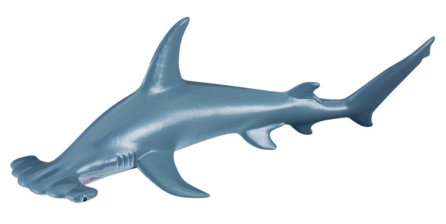 CollectA - Scalloped Hammerhead Shark