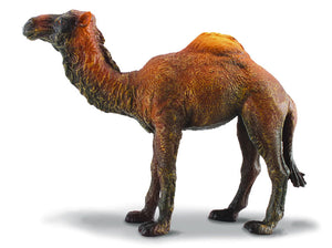 CollectA - Dromedary Camel