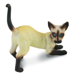 CollectA - Siamese Cat Stretching