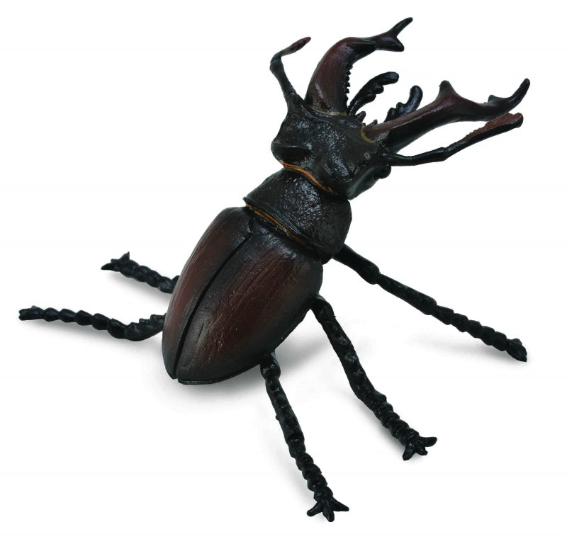 CollectA - Stag Beetle