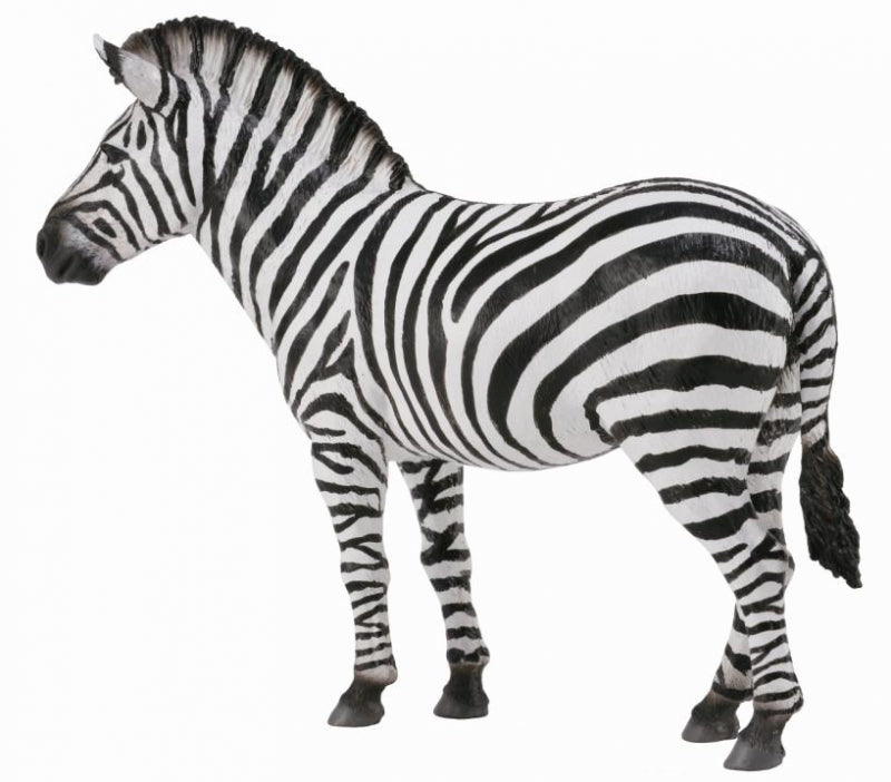 CollectA - Common Zebra