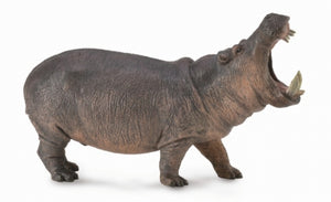 CollectA - Hippopotamus