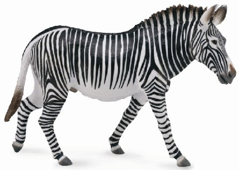 CollectA - Grevys Zebra
