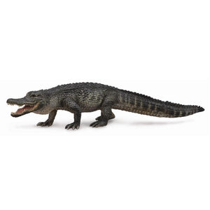 CollectA - American Alligator CollectA Rata and Roo