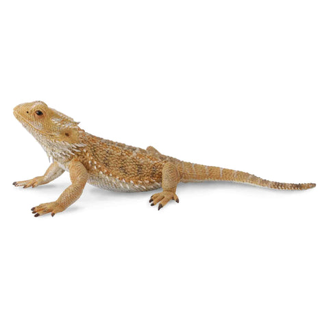 CollectA - Bearded Dragon Lizard CollectA Rata and Roo