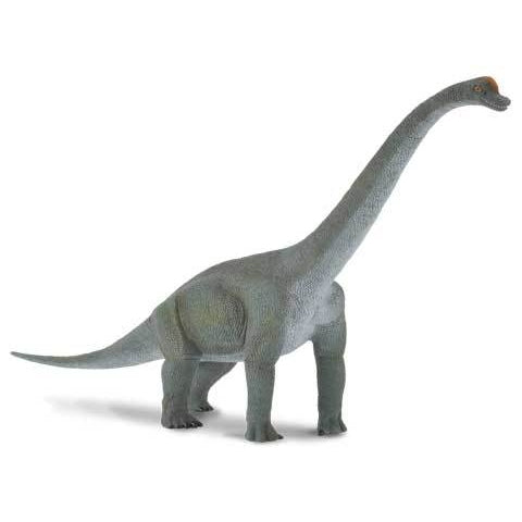 CollectA - Brachiosaurus CollectA Rata and Roo