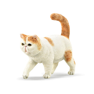 CollectA - Exotic Shorthair Cat CollectA Rata and Roo