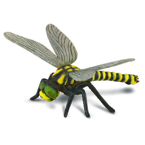 CollectA - Golden Ringed Dragonfly CollectA Rata and Roo