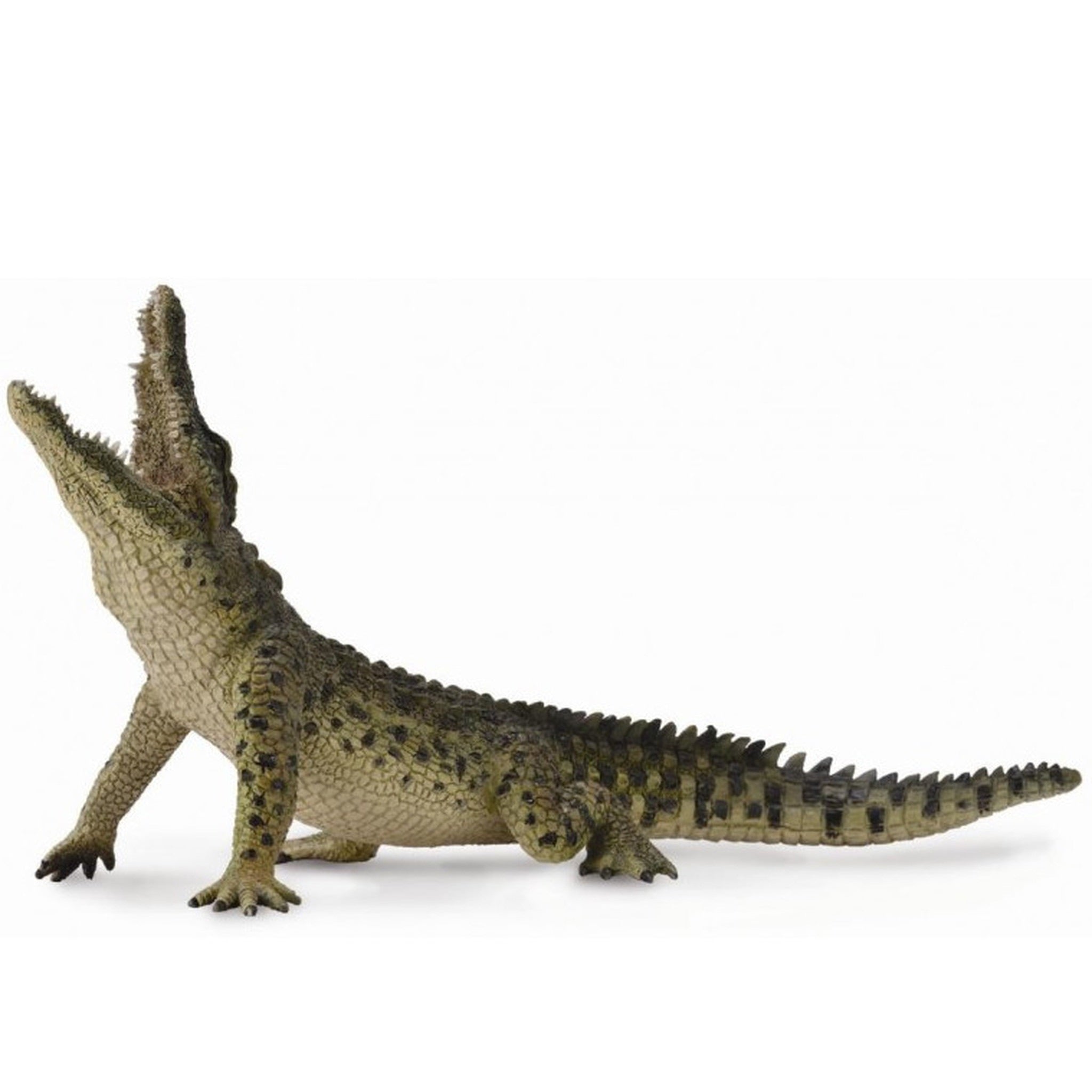 CollectA - Leaping Crocodile CollectA Rata and Roo