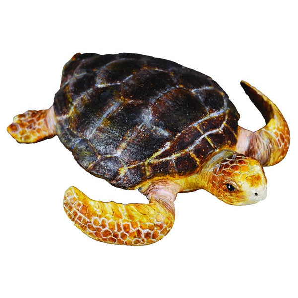 CollectA - Loggerhead Turtle CollectA Rata and Roo