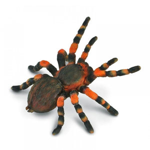 CollectA - Mexican Red Knee Tarantula CollectA Rata and Roo