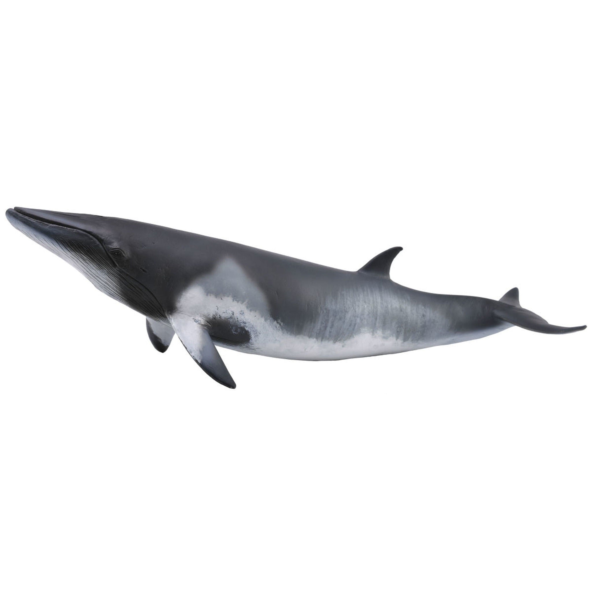 CollectA - Minke Whale CollectA Rata and Roo