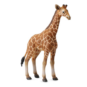 CollectA - Reticulated Giraffe Calf CollectA Rata and Roo