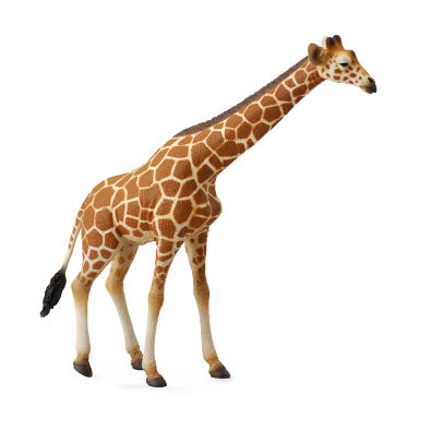 CollectA - Reticulated Giraffe CollectA Rata and Roo