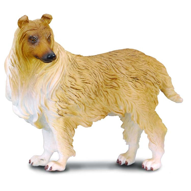 CollectA - Rough Haired Collie CollectA Rata and Roo