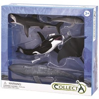 CollectA - Sea Life 5 Piece Gift Set CollectA Rata and Roo