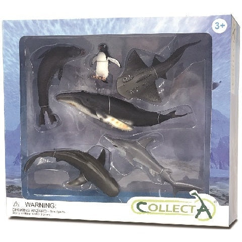 CollectA - Sea Life 6 Piece Gift Set CollectA Rata and Roo