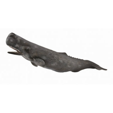 CollectA - Sperm Whale CollectA Rata and Roo