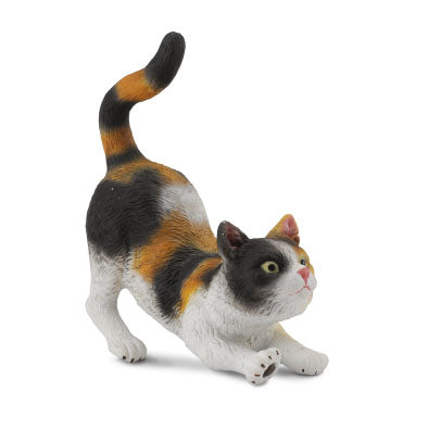 CollectA - Tri-Coloured Cat Stretching CollectA Rata and Roo