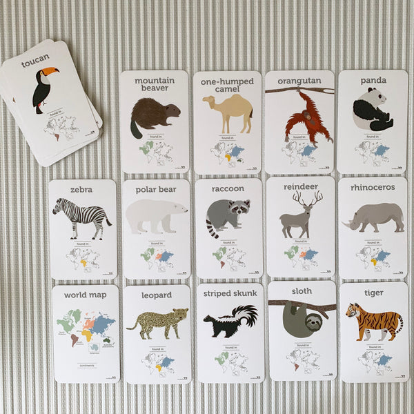 World Animal Flash Cards Two Little Ducklings Rata and Roo