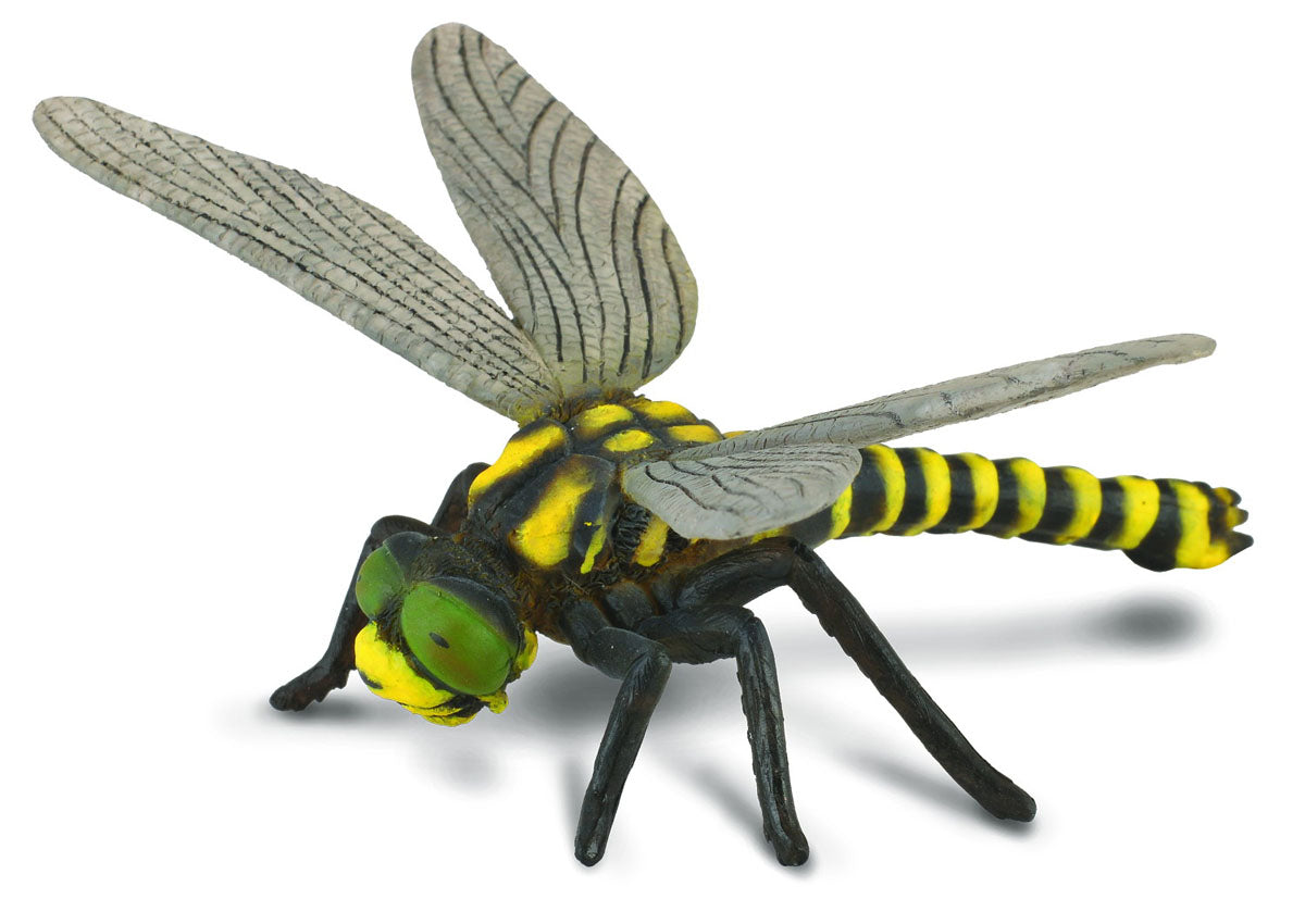CollectA - Golden Ringed Dragonfly