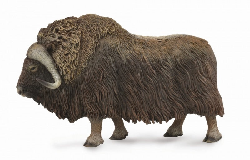 CollectA - Musk Ox