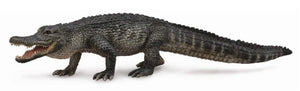 CollectA - American Alligator