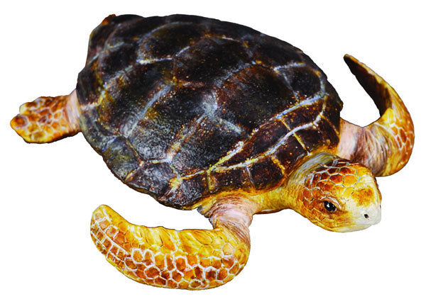 CollectA - Loggerhead Turtle