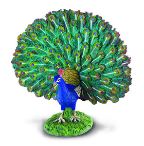 CollectA - Peacock