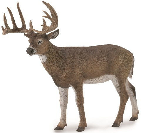 CollectA - White Tailed Deer